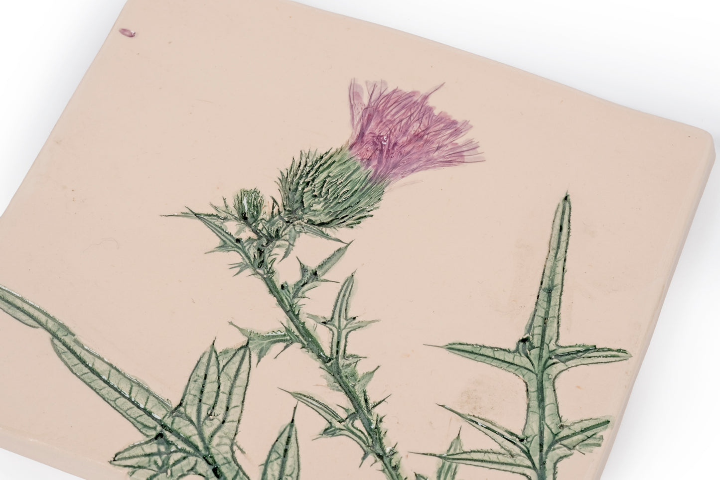 Mattonella botanica