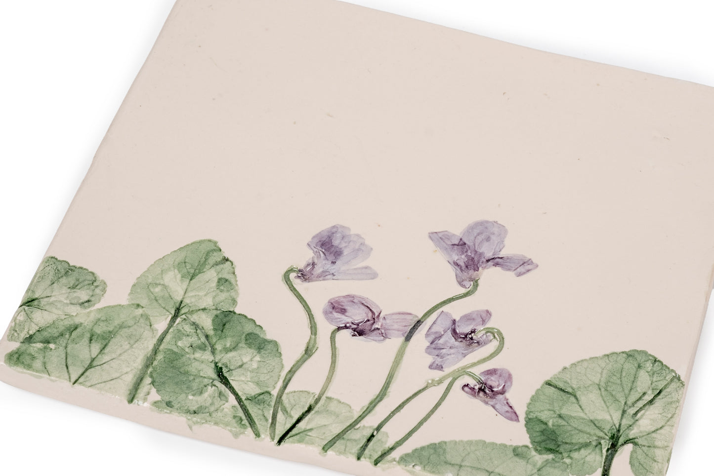 Mattonella botanica