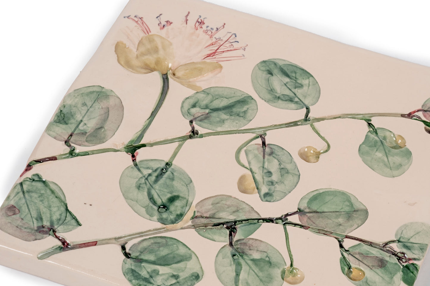 Mattonella botanica