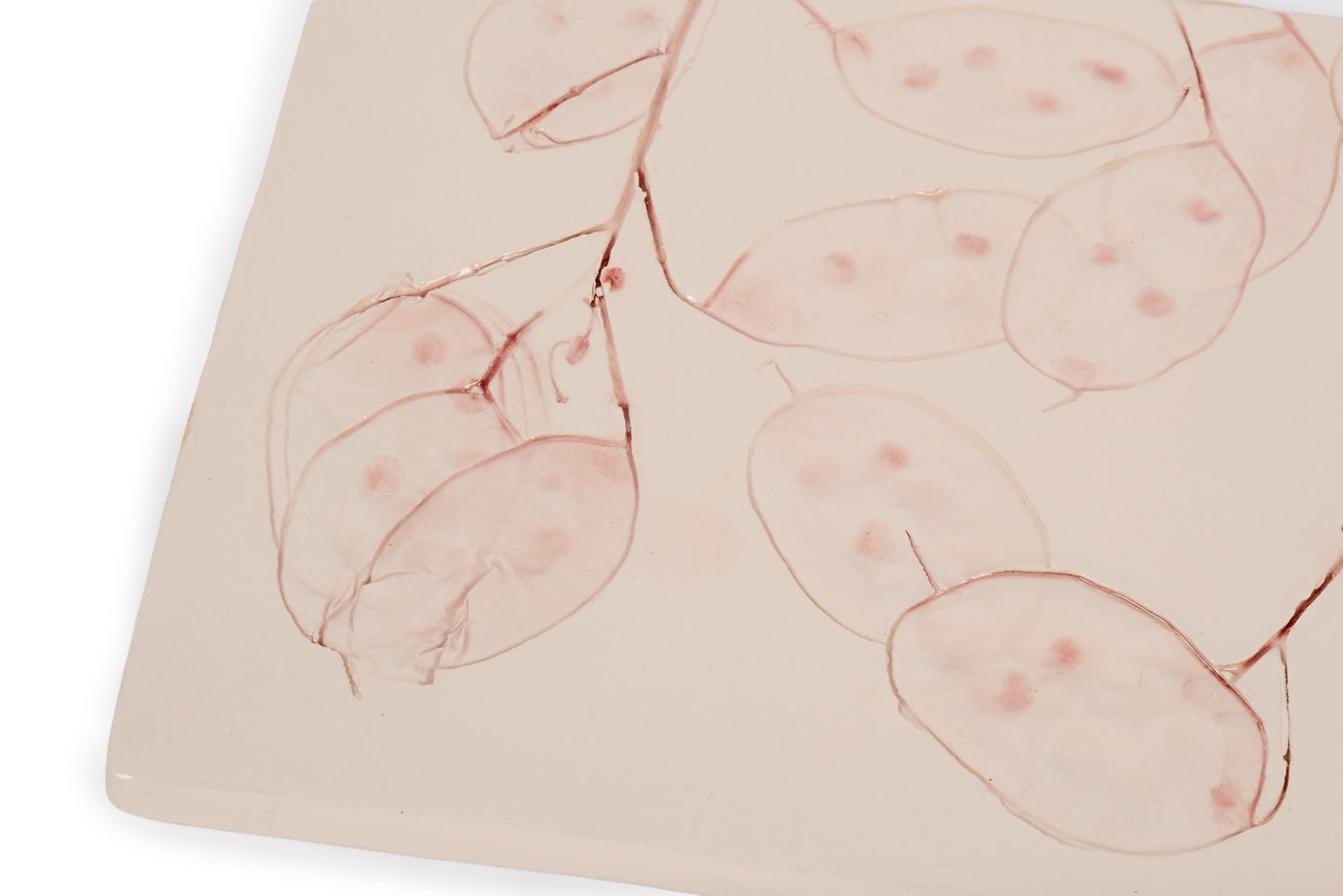 Mattonella botanica