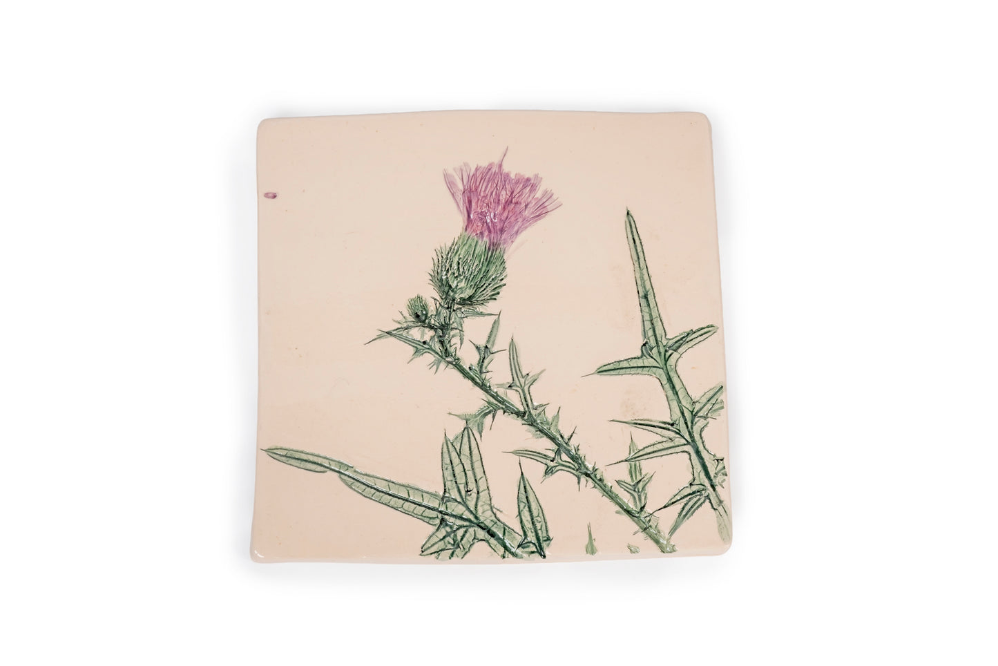 Mattonella botanica