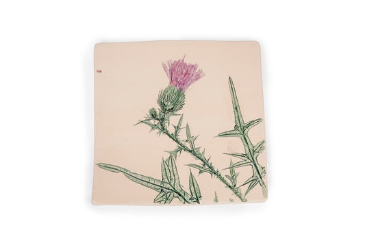 Mattonella botanica