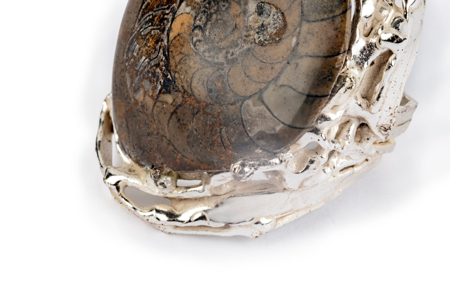 Anello argento e ammonite fossile